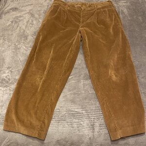 Classic Brown Corduroy Trousers for Men